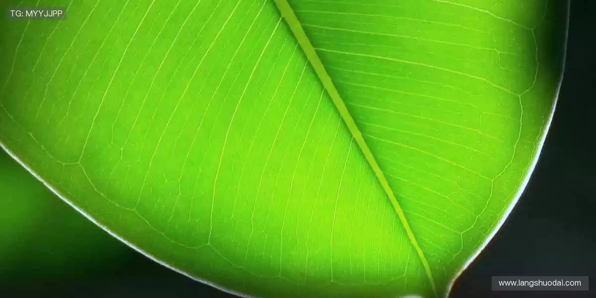 装备你的热爱，从这里开始！🎯🎁